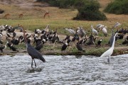 360IMG_0047