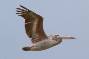 360IMG_0731