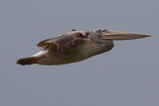 360IMG_0734