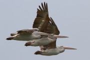 360IMG_0735
