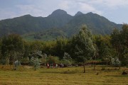505IMG_3185
