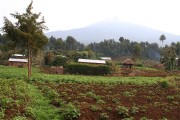 550IMG_3945