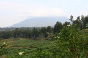 550IMG_3947