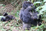 553IMG_4097