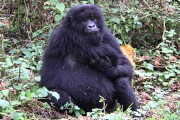 553IMG_4290