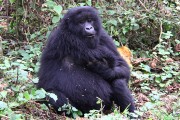553IMG_4291