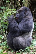 553IMG_4297