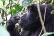553IMG_4564