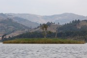 610IMG_0383