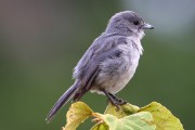 620IMG_5307