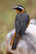 620IMG_5332