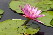 800IMG_0610