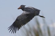 805IMG_7571