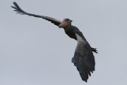 805IMG_7586