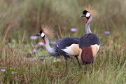 810IMG_7644