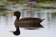 825IMG_7748