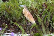 835IMG_7773