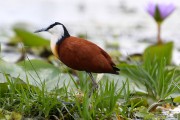 836IMG_7804