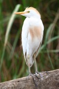 840IMG_7919