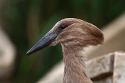 840IMG_7923