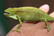 850IMG_8212