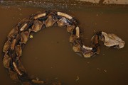 850IMG_8245