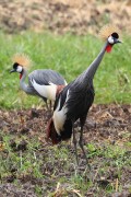 860IMG_2260
