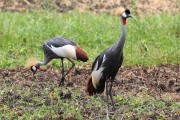 860IMG_2267