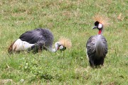 860IMG_5515