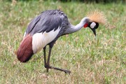 860IMG_5526
