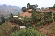 880IMG_2646