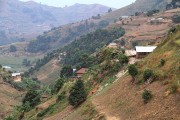 880IMG_4970