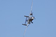 050IMG_6340