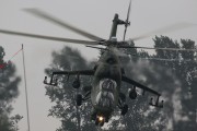 190IMG_5831