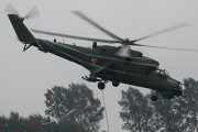 190IMG_5842