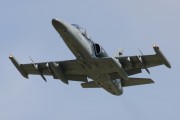 300IMG_7307