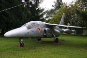 IMG_6171