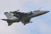 175IMG_7690