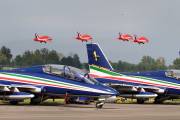 209IMG_7865