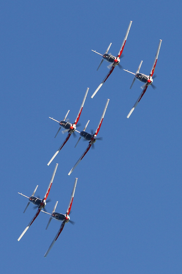 103IMG_8521