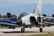 080IMG_0137