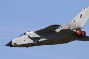 082IMG_0068