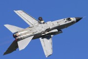 082IMG_8479