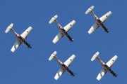 103IMG_8528
