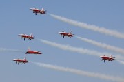 226IMG_0959