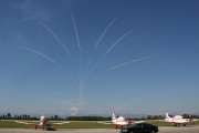228IMG_2175
