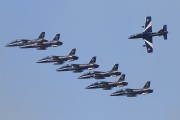 306IMG_9585