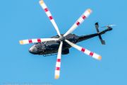 261IMG_1717