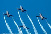 303IMG_1798