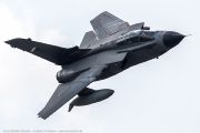 500IMG_1132